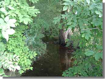 Der Bach Ahne