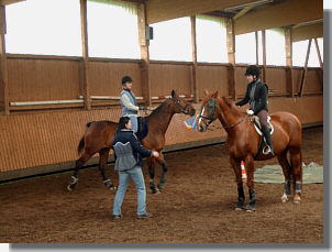 Mit dem Netz musste der Ball gefangen werden
