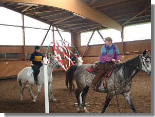 Nicht jedes Pferd ging durch das Flatterbandtor