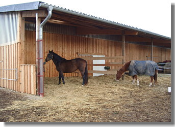 Offenstall an der neuen Halle